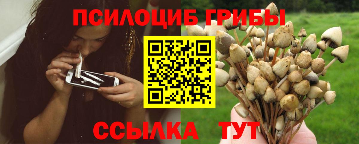 Псилоцибиновые грибы прущие грибы  Вход с VPN  Сергиев Посад 